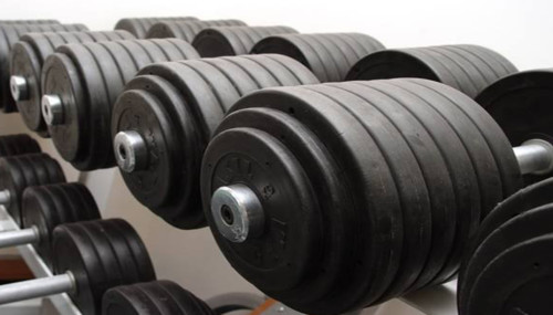 The Best Muscle Building Program